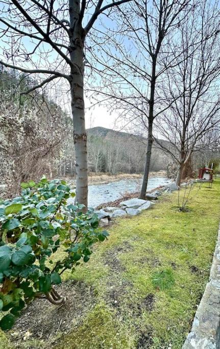 Acogedor Alojamiento En Martinet, Cerdanya, Puigcerda المظهر الخارجي الصورة