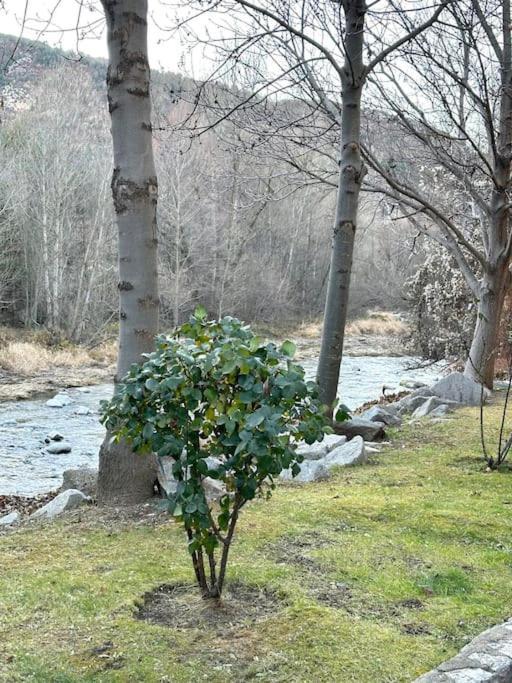 Acogedor Alojamiento En Martinet, Cerdanya, Puigcerda المظهر الخارجي الصورة